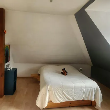 Cosy à 5mn Du Parc Des Expositions * Colmar