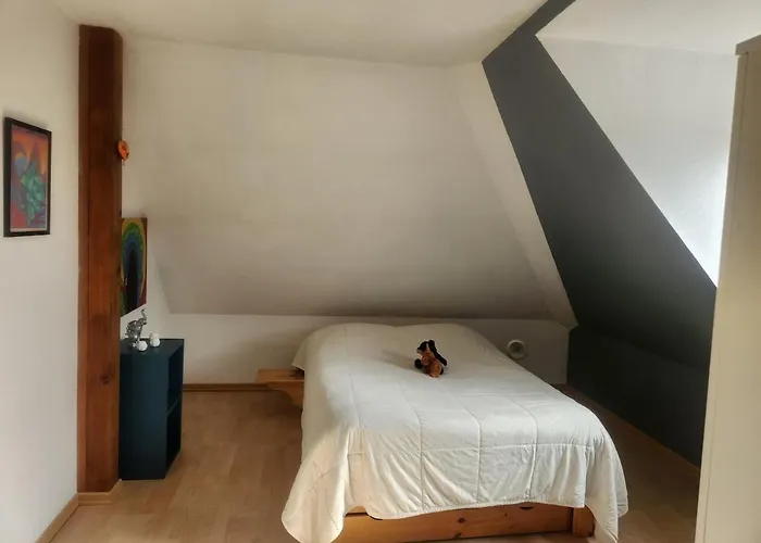 Cosy A 5mn Du Parc Des Expositions * Colmar