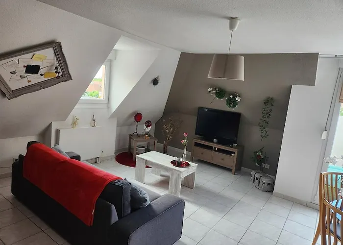 Cosy A 5mn Du Parc Des Expositions Apartment *
