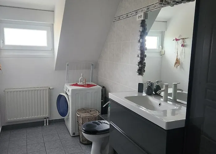Cosy A 5mn Du Parc Des Expositions * コルマール