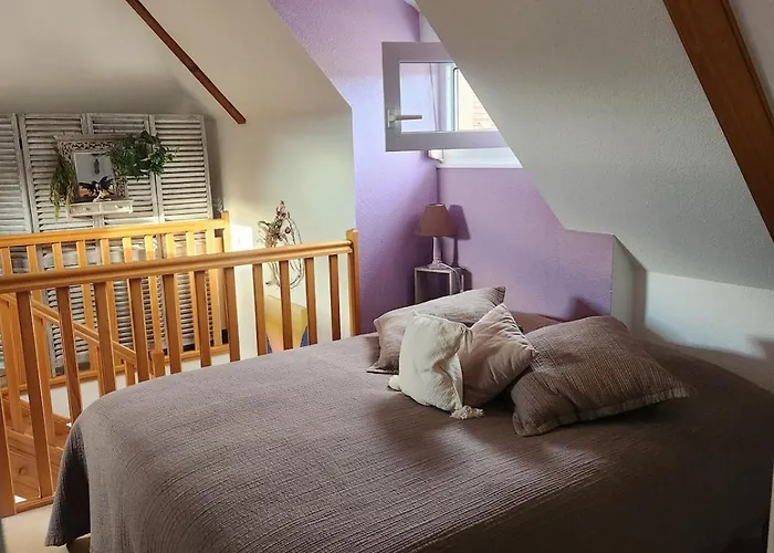 Cosy A 5mn Du Parc Des Expositions アパート コルマール